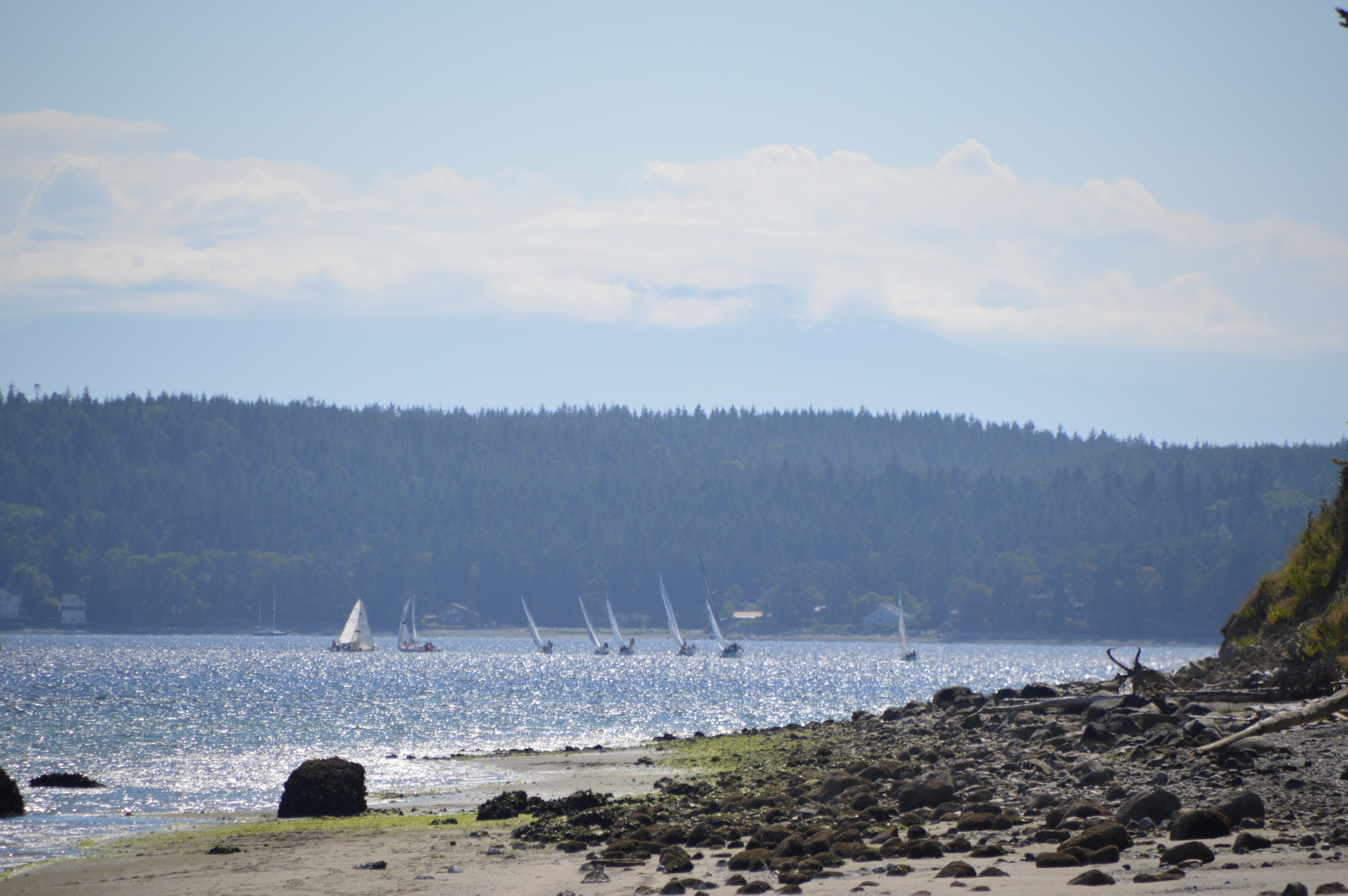 Team communication and sail trim during a racing-style lesson.