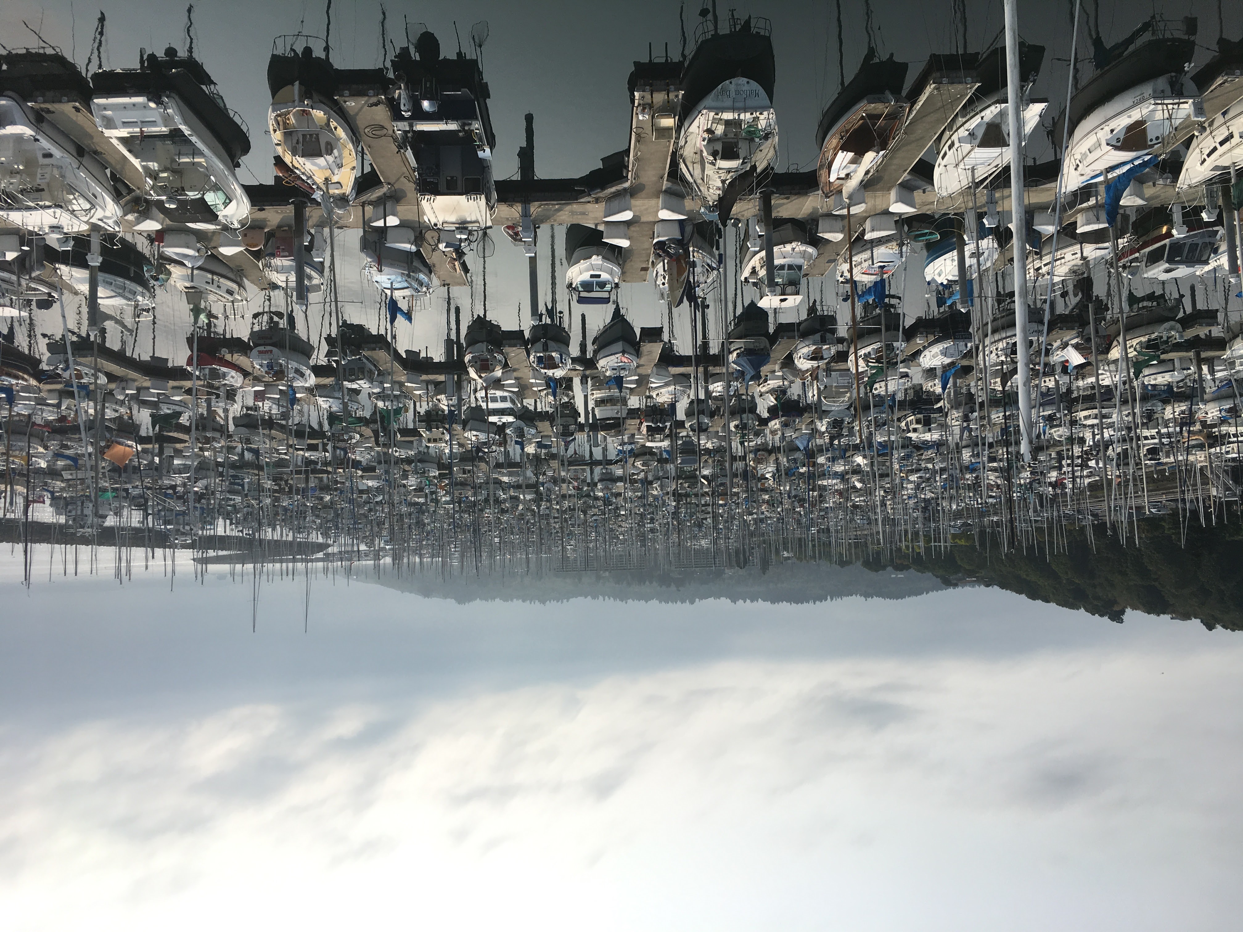 Shilshole Marina filled with sailboats in Ballard.