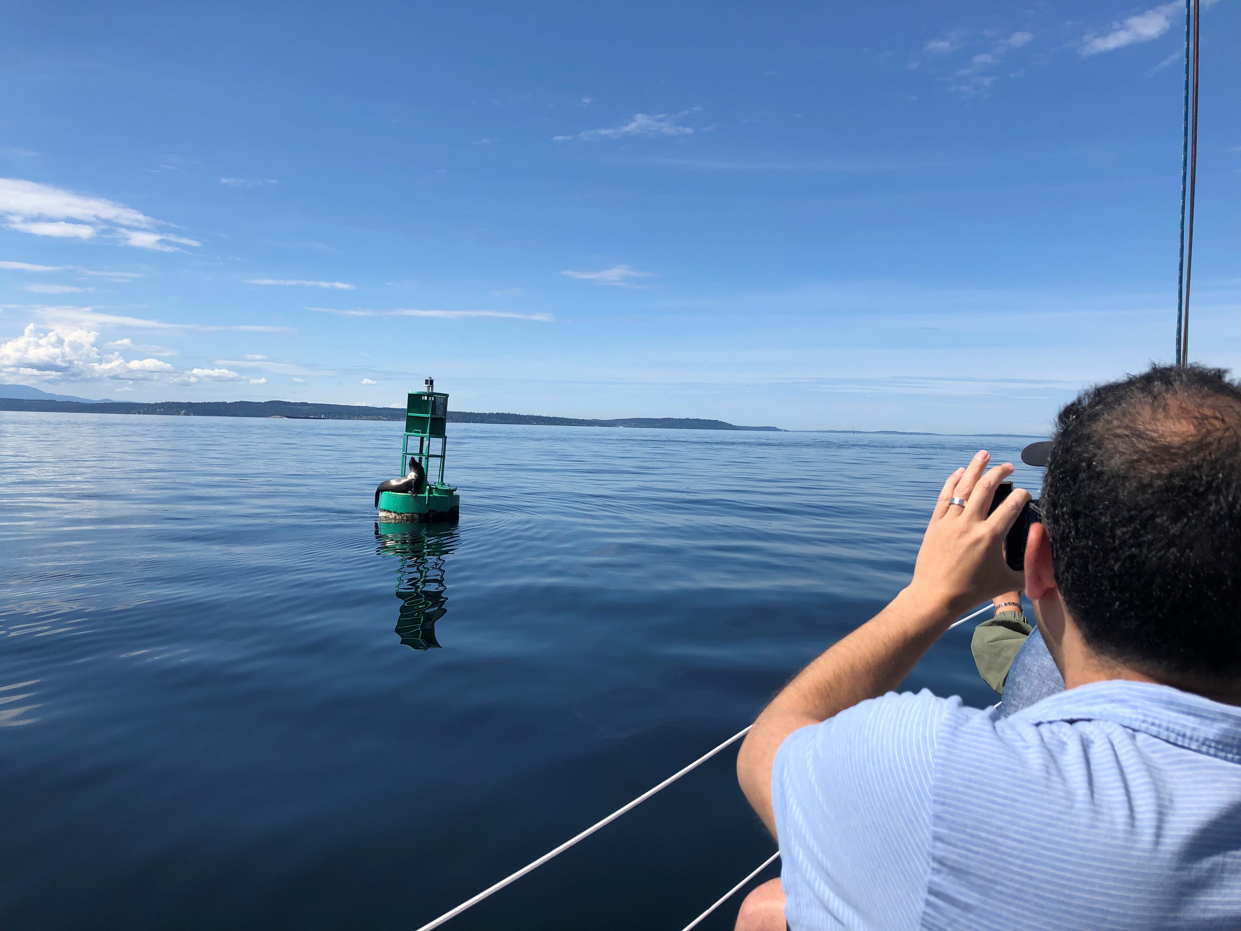 A sea lion resting on a channel marker in calm water.